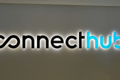 visita CONNECTHUB 2019